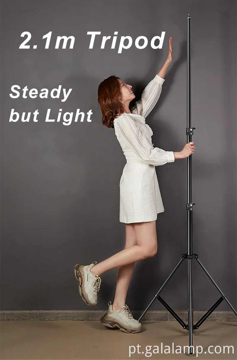 Softbox Professional Octagon para iluminação fotográfica de Monte Bowens